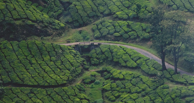 from Chennai to South India Tour Packages